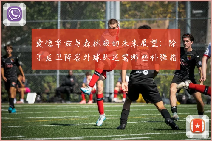 爱德华兹与森林狼的未来展望：除了后卫阵容外球队还需哪些补强措施