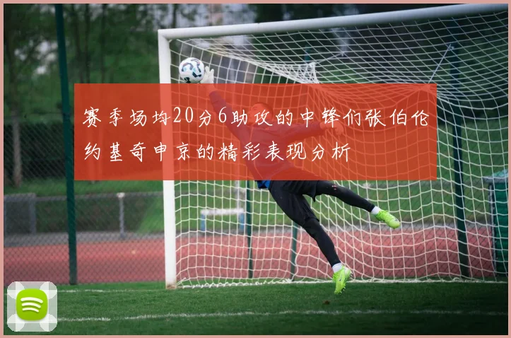 赛季场均20分6助攻的中锋们张伯伦约基奇申京的精彩表现分析