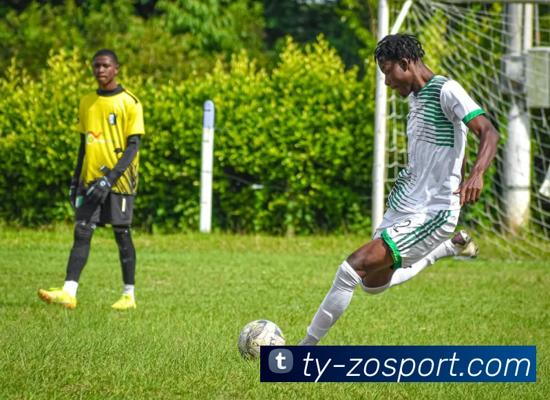 中欧足球官网发展历程